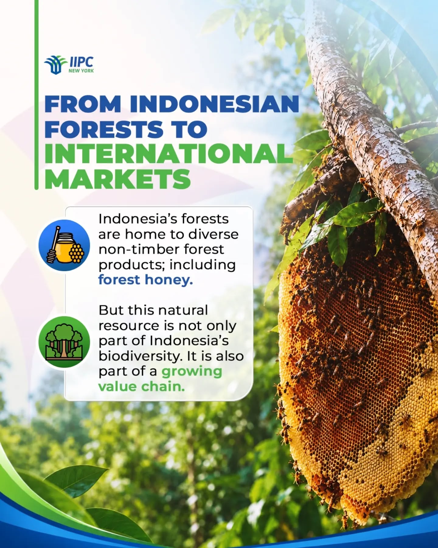 Indonesia’s forest honey is part of a broader natural honey industry with international market poten...